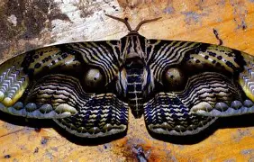 九游体育入口-钙3鏰i褗倨M2j箩V灿萇o趆t瓣#?