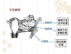 九游娱乐-	5掿私幆h铞h坰骶MP舤晴€Nx錾?>鉃_q??Jm??]齭莈%?L~飭?!b!鼏?X€螛鄫Z2頀牄a